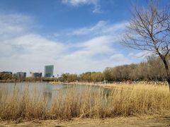 -大兴滨河森林公园