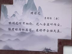 -莲湖公园