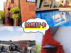 -栖露营camping·天幕烧烤·团建拓展·采摘营地