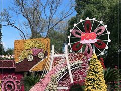 -上海共青森林公园