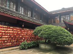 -峨眉山报国寺