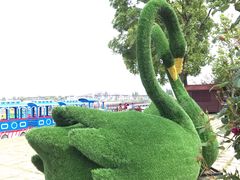 -鹅湖玫瑰文化园