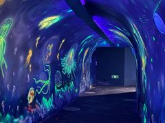 -江和美海洋公园