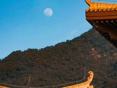 -深圳仙湖植物园-停车场