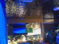 -喜庭海鲜自助(北辰三角洲北辰荟店)