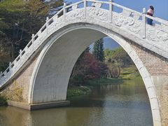 -田野绿世界