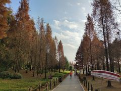 -贵阳市花溪国家城市湿地公园