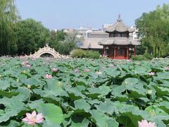 -莲池书院博物馆
