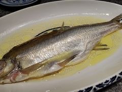 鸡汁白鱼-南京大牌档(济南万象城店)