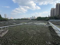 -成都南湖公园