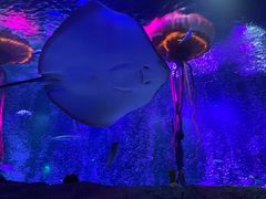 -沈阳海洋探索中心