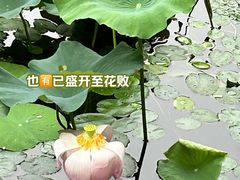 -徐家汇公园