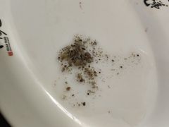 -官塘兄弟·潮汕牛肉店(官塘总店)