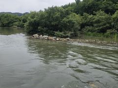 -秋浦河景区
