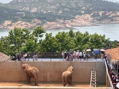 -西霞口神雕山野生动物世界