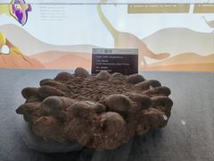 -中国西峡恐龙遗迹园