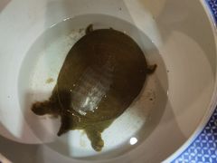 -山里俏·皖南菜(清源路店)