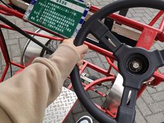 -上海海湾国家森林公园