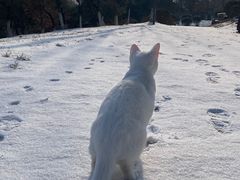 -棋盘山冰雪大世界