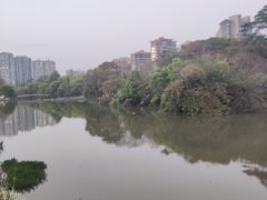 -金山公园