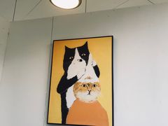 -有猫主题·治愈系猫咖(曾厝垵店)