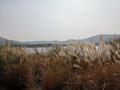 -江阴敔山湖公园