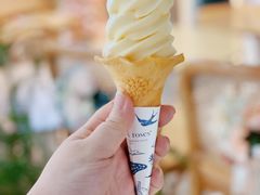 -野人先生Gelato(上海长宁龙之梦店)