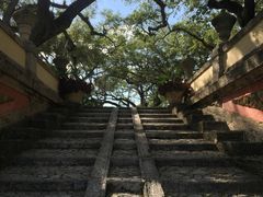 -维兹卡亚博物馆及花园