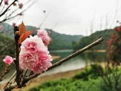 -广州市石门国家森林公园