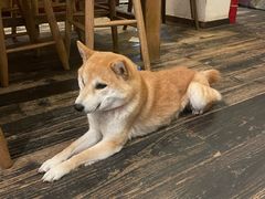 -三目仓咖啡(贤南路店)