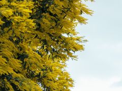-观山湖公园