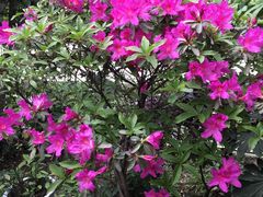 -凤来栖·净庭院·火锅(欧尚店)