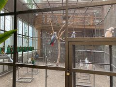 -南宫五洲植物乐园