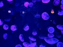 -台州海洋世界
