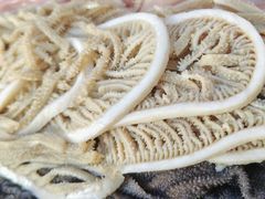 -镇江龙·火锅串串(武侯祠店)