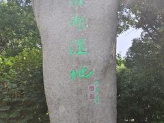 -溱湖国家湿地公园