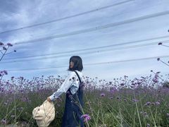 -紫颐香薰山谷景区