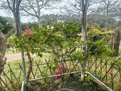 -东莞植物园