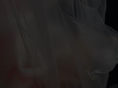 -金丹酱板鸭营业厅(紫缘路店)