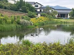 -雅达·阳羡溪山小镇中心