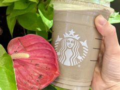 -星巴克(上海长宁来福士1F店)