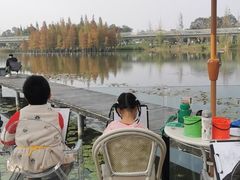 -白鹭湾湿地公园