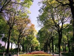 -上海鲜花港