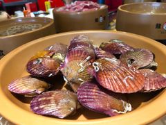 -龍歌自助小火锅(市南金茂湾店)