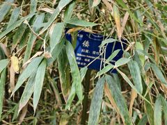 -中山市树木园