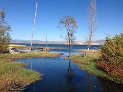 -洱海月湿地公园
