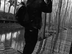 -合肥滨湖国家森林公园