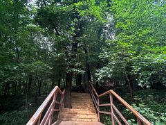 -吉林市朱雀山国家森林公园