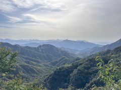-大岭沟猕猴桃谷风景区