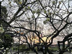 -广富林郊野公园